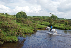 Ameisha enjoying a ride out on the moor, and crossing De Lank River at Delphy Bridge