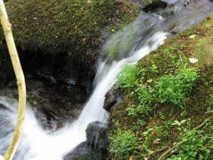 Little falls on Tor River at Darrynane